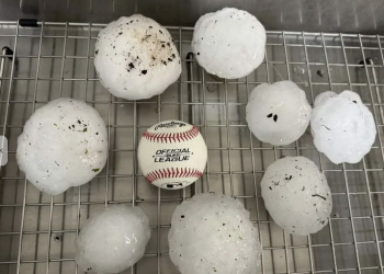 “폭탄 떨어지는 것 같았다” … 야구공보다 큰 우박 맞은 중부텍사스